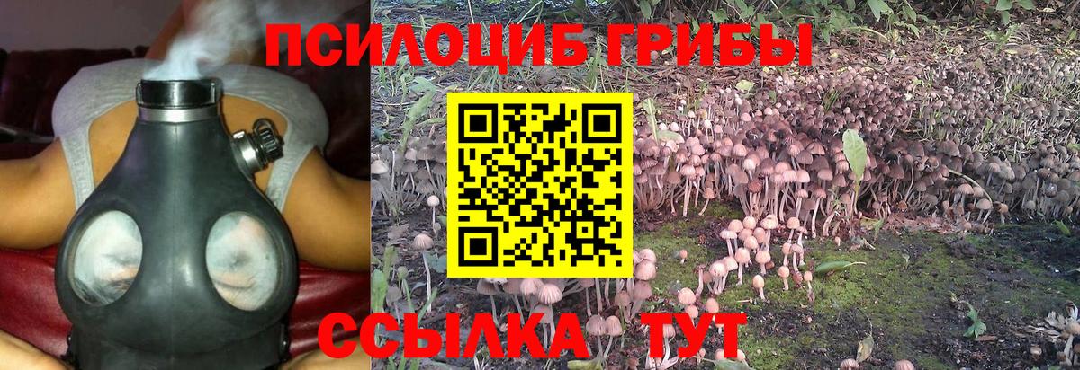 Электрогорск  Галлюциногенные грибы MAGIC MUSHROOMS  Вход с VPN 