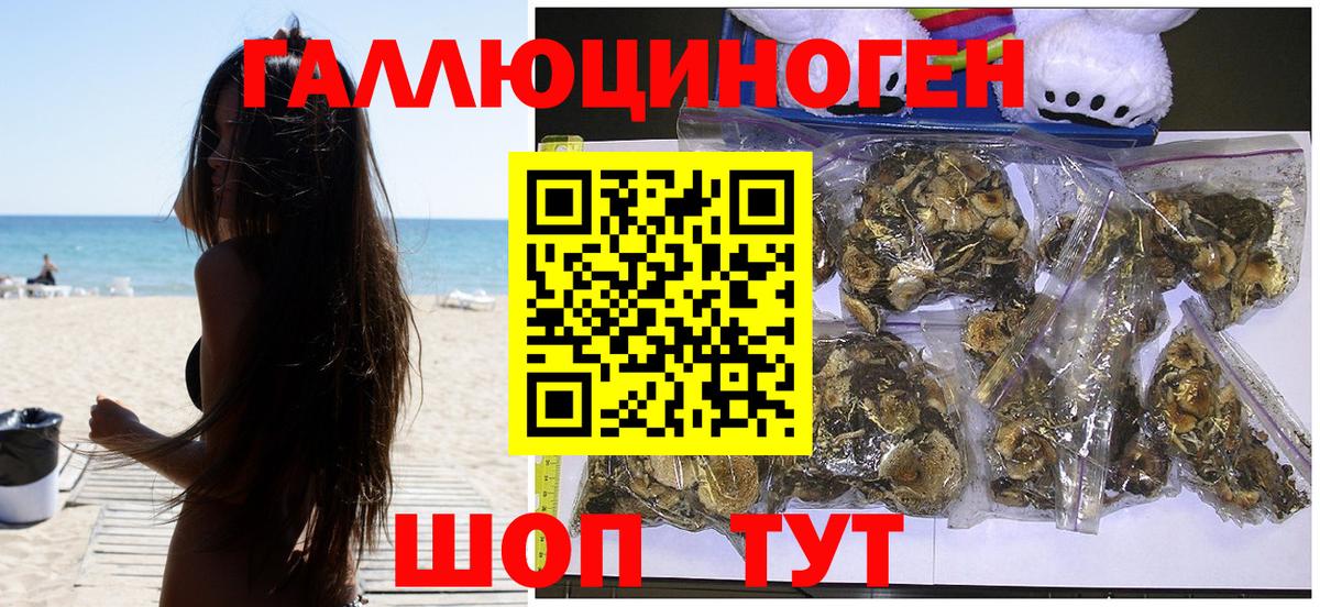 Галлюциногенные грибы Magic Shrooms Электрогорск