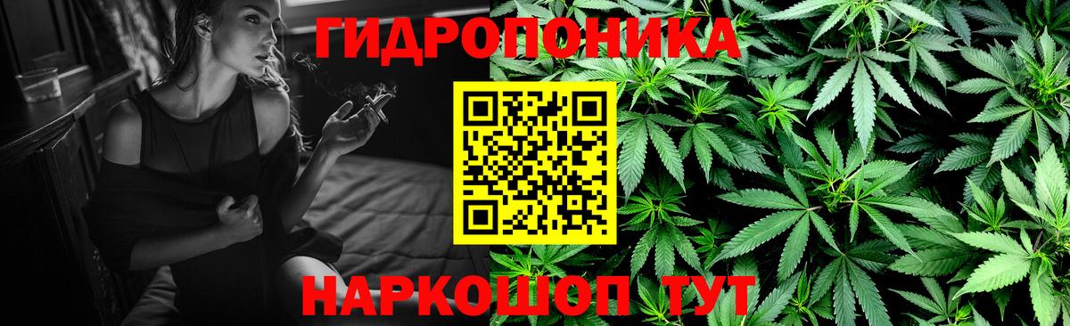 Электрогорск  Каннабис марихуана  Канабис VHQ  Вход с VPN  Конопля семена 